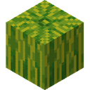Melon.png: Inventory sprite for Melon in Minecraft as shown in-game with description: Melon