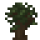 Dark Oak Sapling.png: Inventory sprite for Dark Oak Sapling in Minecraft as shown in-game linking to Dark Oak Sapling with description: Dark Oak Sapling