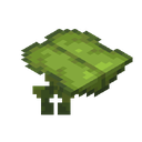 Big Dripleaf.png: Inventory sprite for Big Dripleaf in Minecraft as shown in-game linking to Big Dripleaf with description: Big Dripleaf