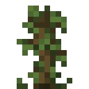 Jungle Sapling.png: Inventory sprite for Jungle Sapling in Minecraft as shown in-game linking to Jungle Sapling with description: Jungle Sapling