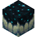 Sculk Catalyst