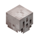 Skeleton Skull