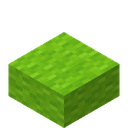 Lime Wool Slab.png: Inventory sprite for Lime Wool Slab in Minecraft as shown in-game linking to Lime Wool Slab with description: Lime Wool Slab